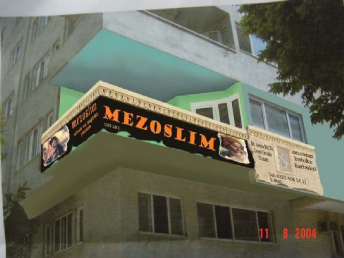 Mezosilim Adana