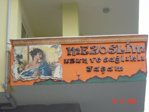  Mezosilim Adana